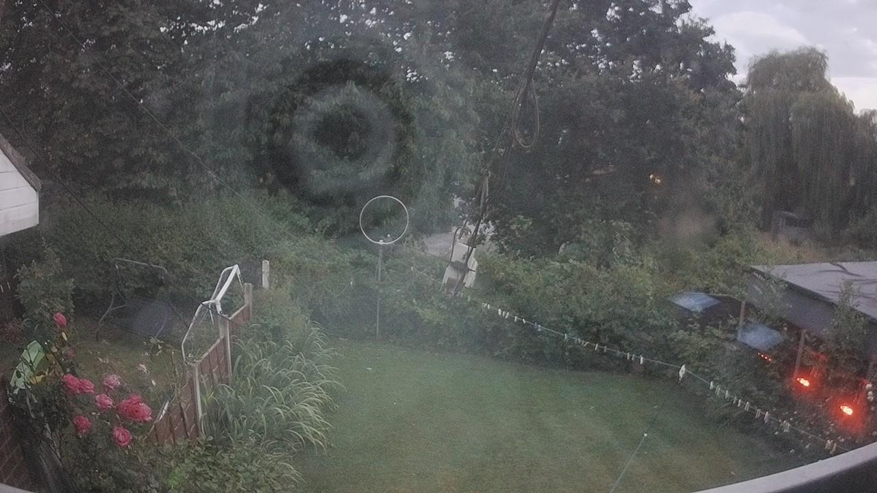 20260803_202350_cam1.jpg