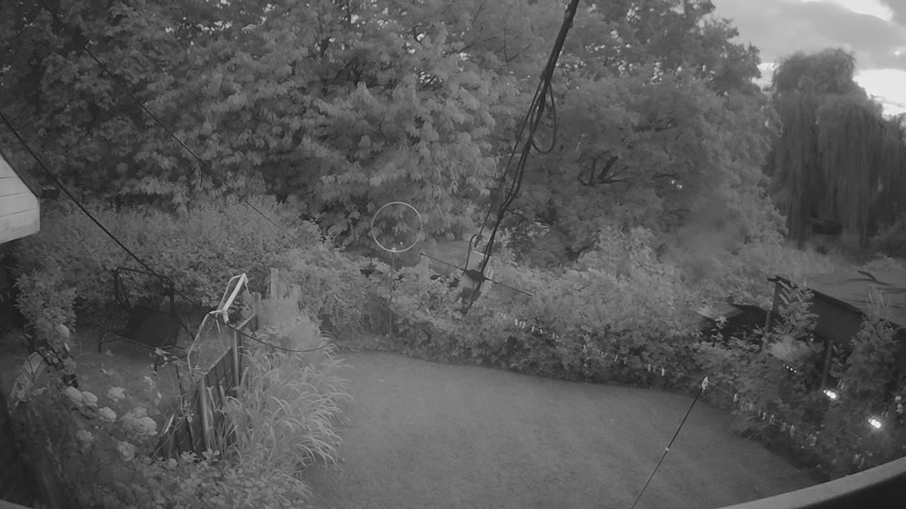 20260803_202750_cam1.jpg