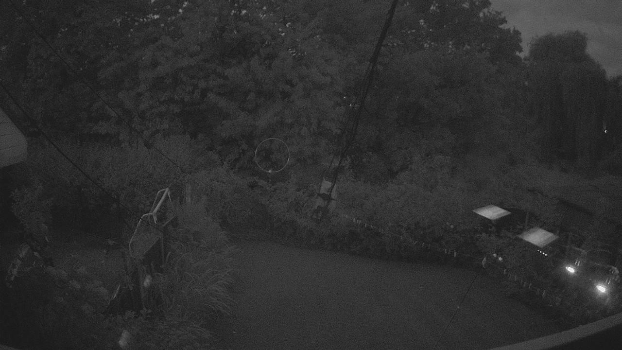 20260804_035056_cam1.jpg