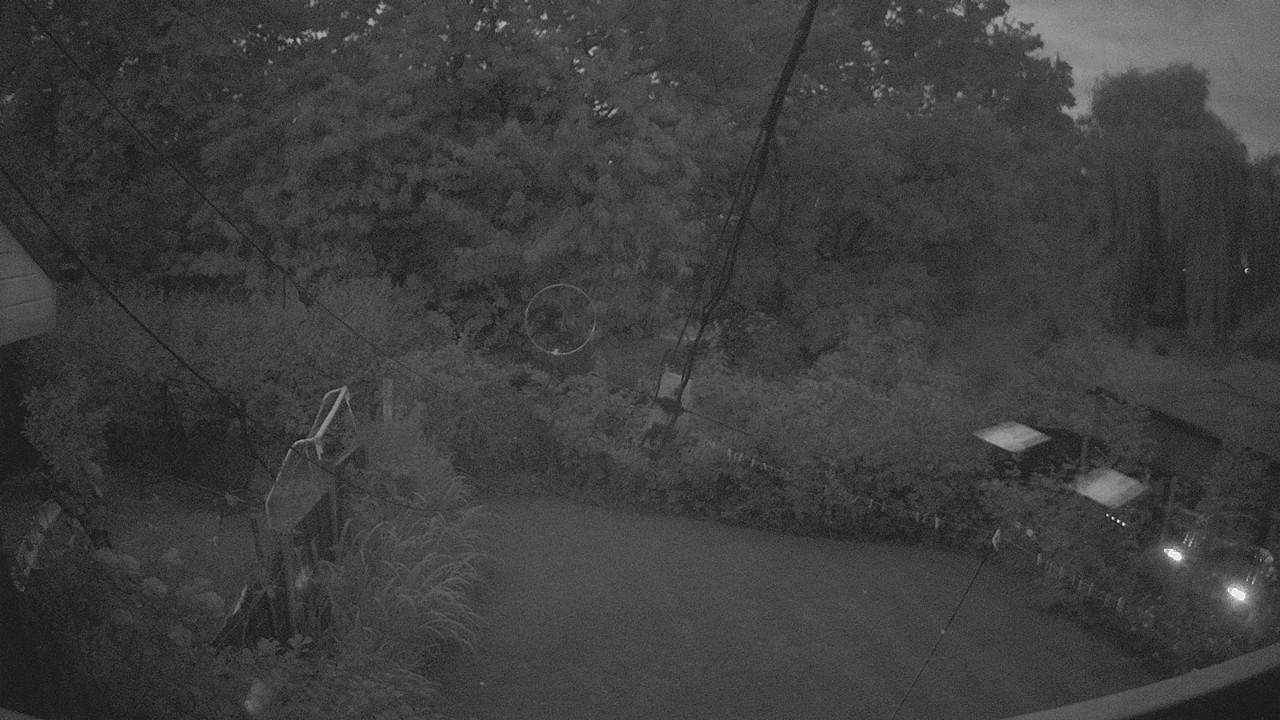 20260804_035523_cam1.jpg