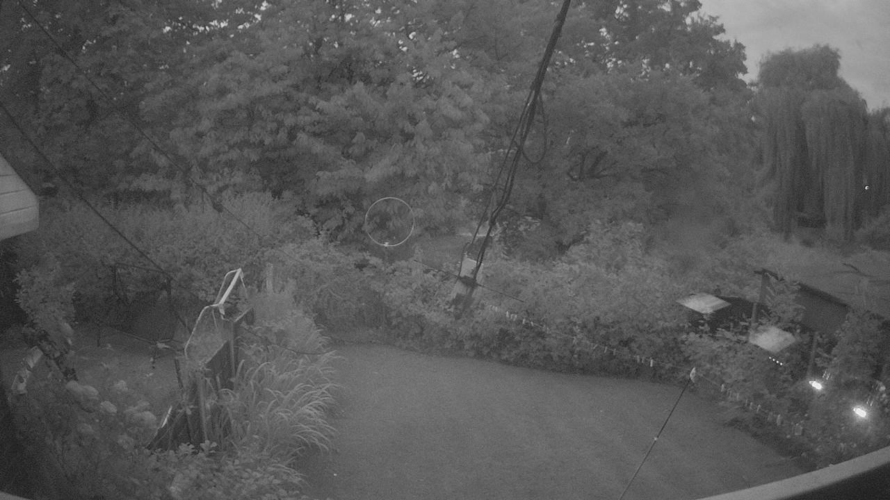 20260804_035941_cam1.jpg