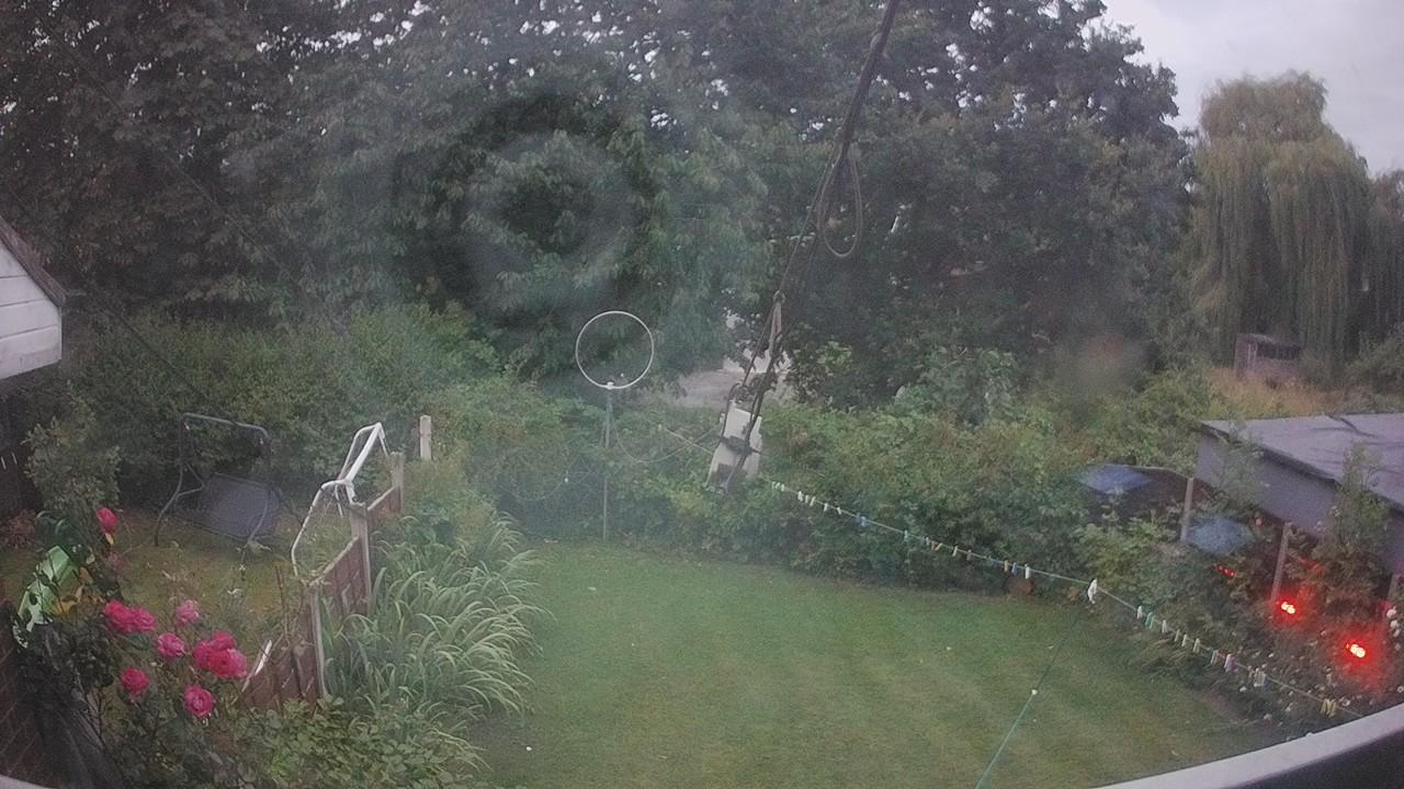 20260804_041235_cam1.jpg