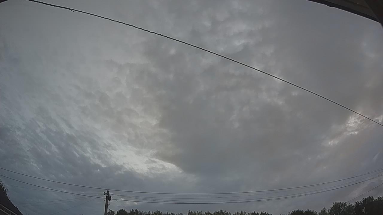 20260804_042111_cam2.jpg