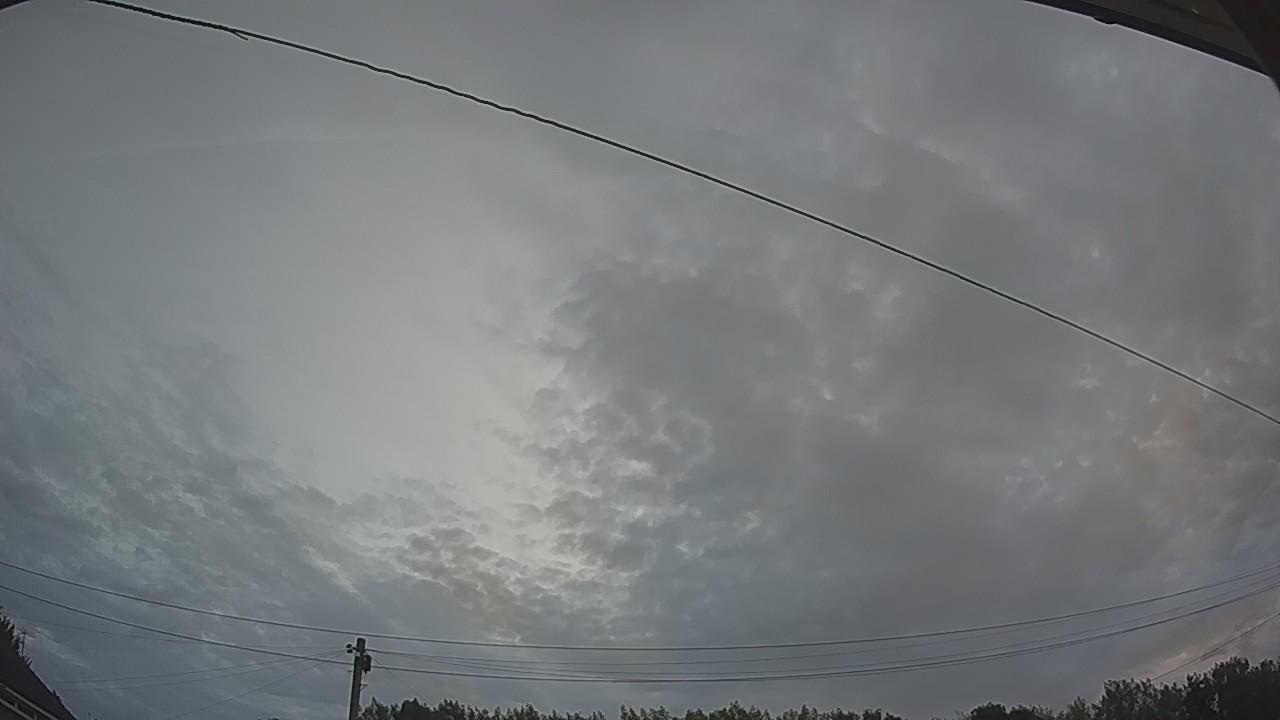 20260804_042529_cam2.jpg