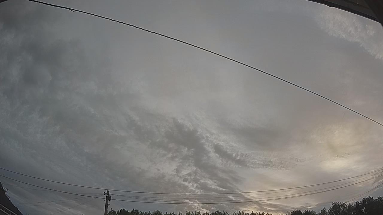 20260804_044743_cam2.jpg