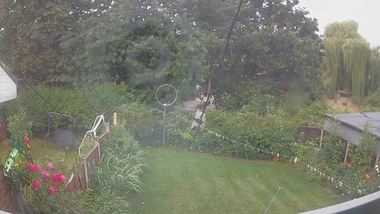 20260804_045208_cam1.jpg