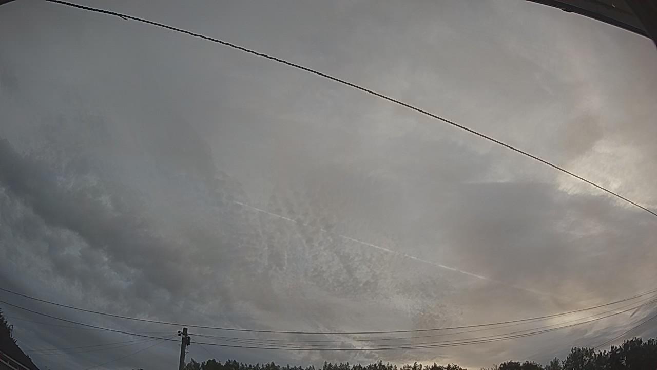 20260804_045209_cam2.jpg