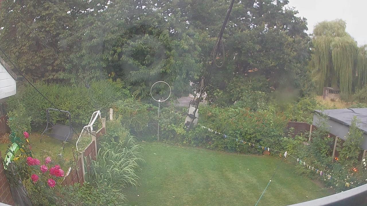 20260804_045635_cam1.jpg