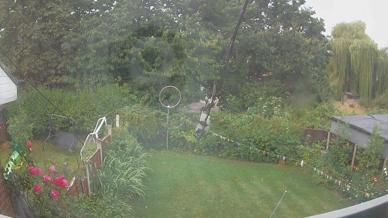 20260804_050528_cam1.jpg