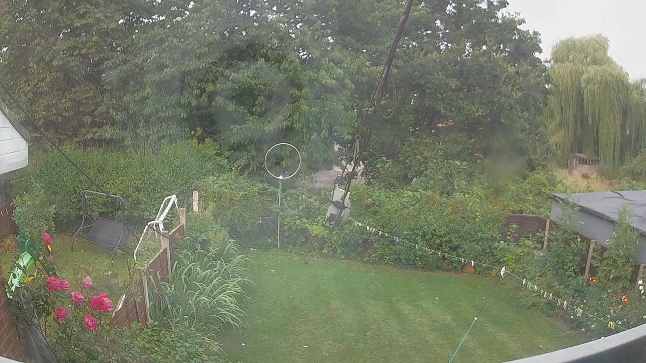 20260804_050955_cam1.jpg