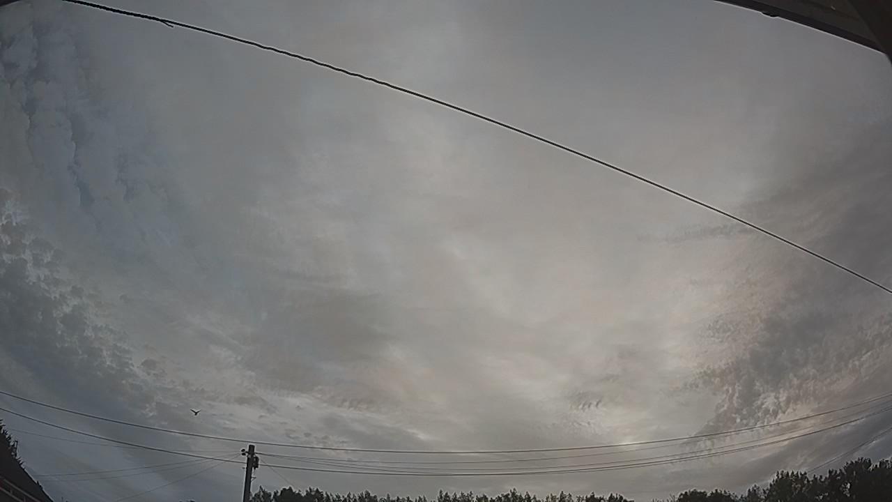 20260804_051848_cam2.jpg