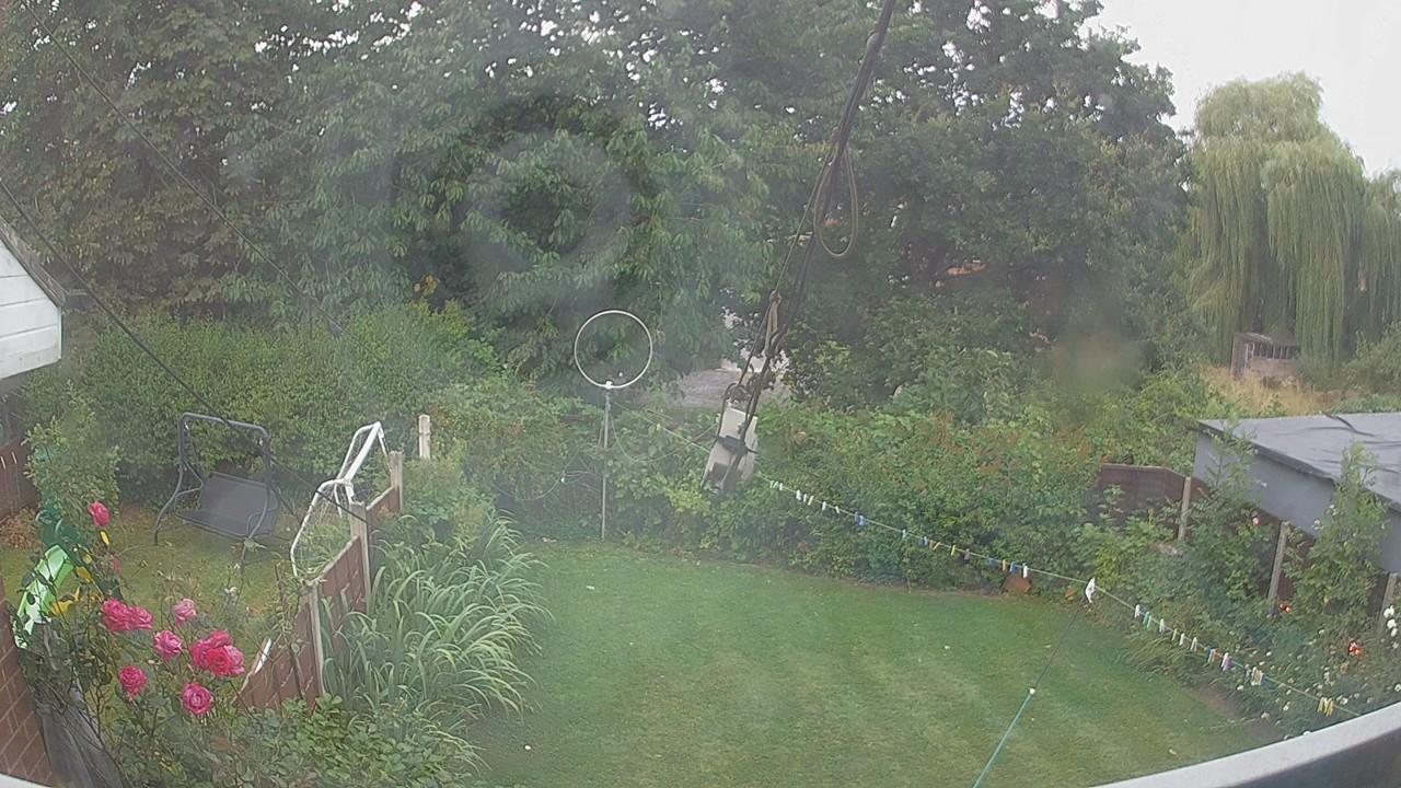 20260804_053635_cam1.jpg