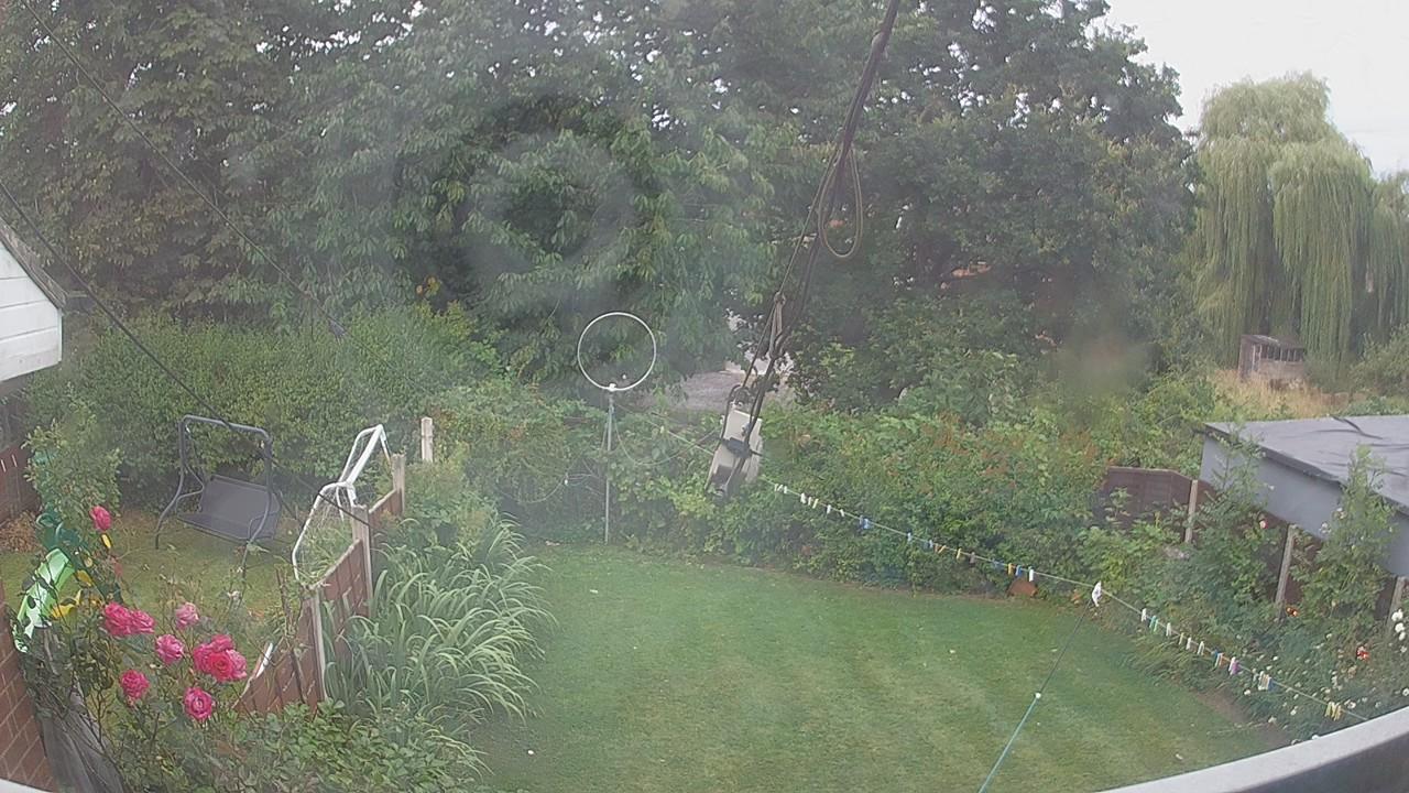 20260804_054955_cam1.jpg