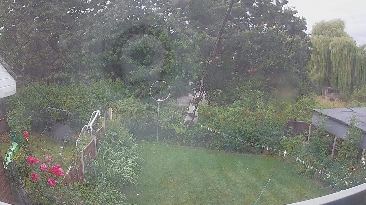 20260804_062534_cam1.jpg