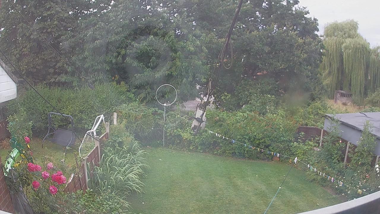 20260804_063002_cam1.jpg
