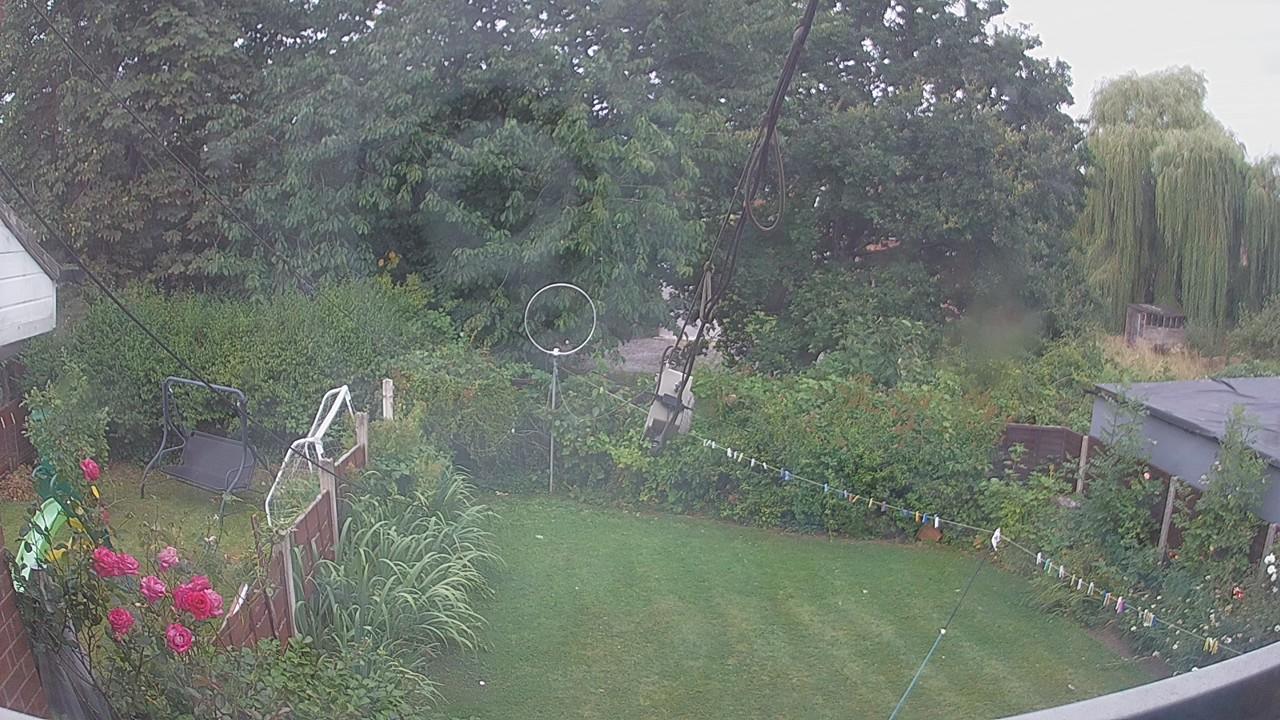 20260804_063856_cam1.jpg