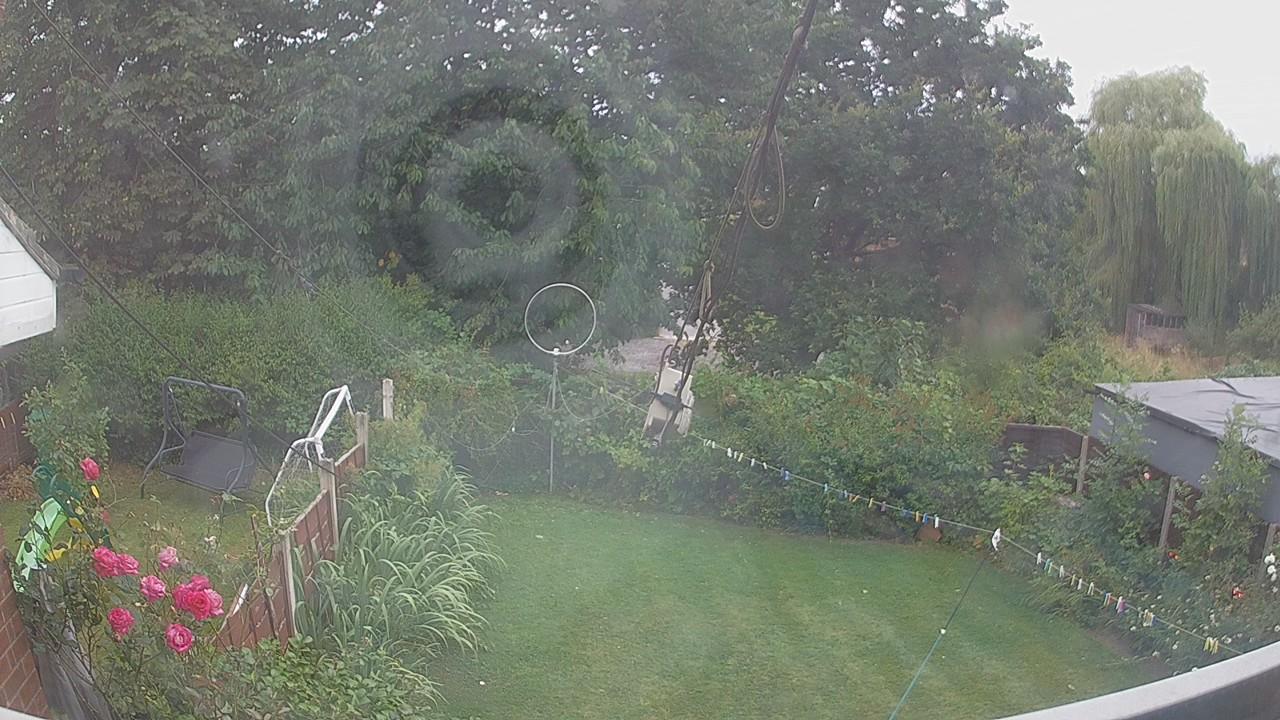 20260804_064750_cam1.jpg