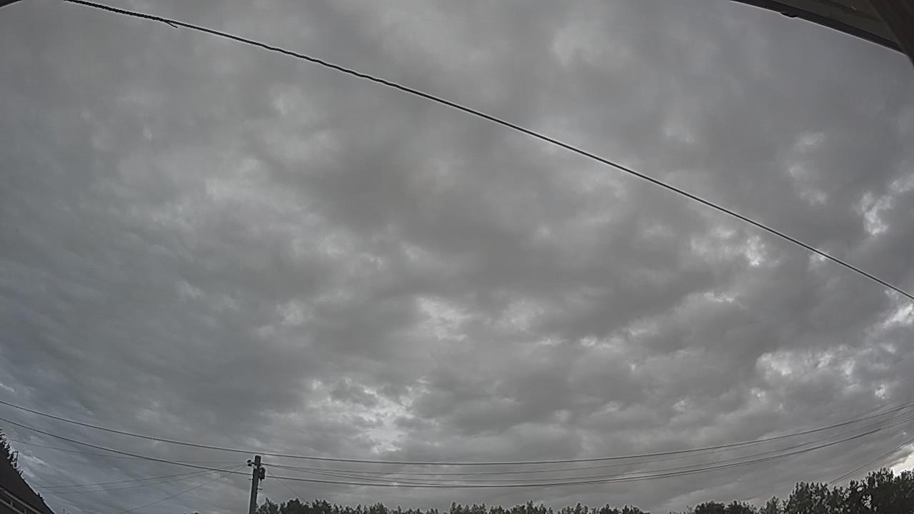 20260804_064751_cam2.jpg