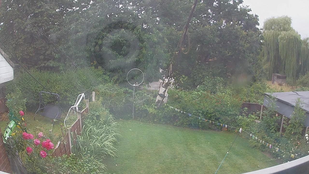 20260804_075051_cam1.jpg