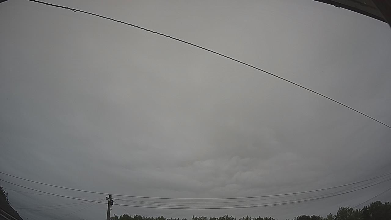 20260804_075527_cam2.jpg