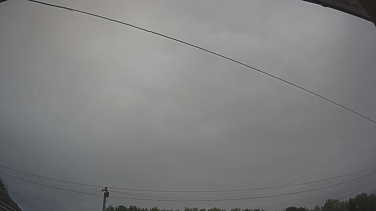 20260804_081200_cam2.jpg