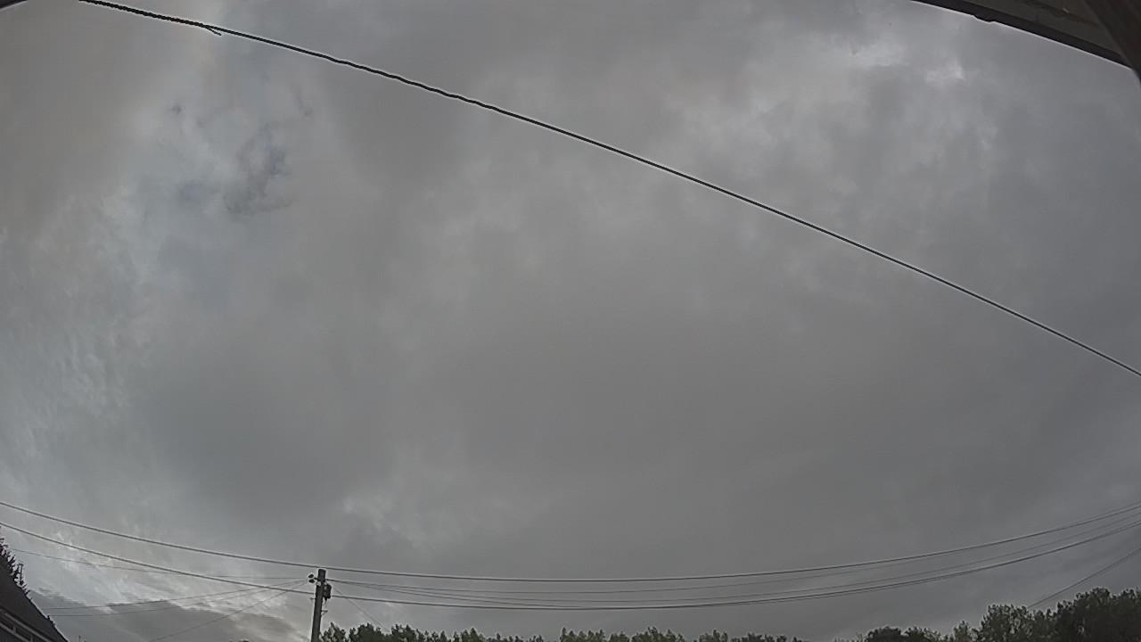 20260804_083720_cam2.jpg