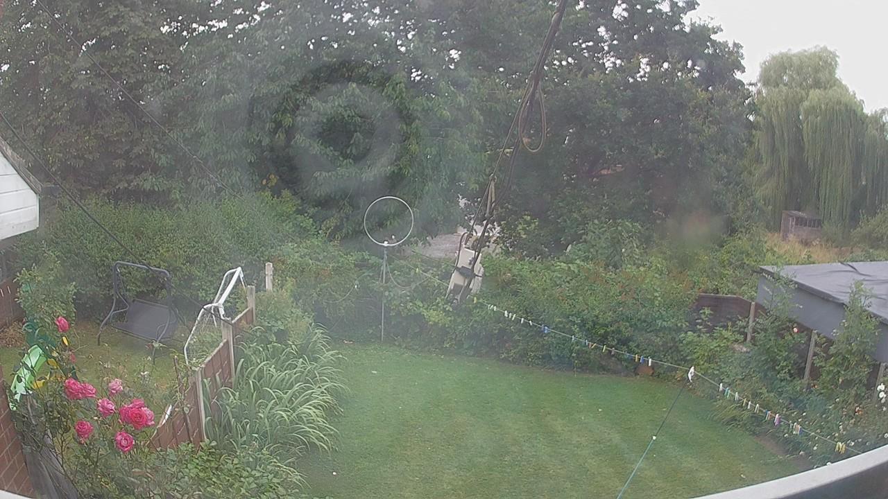 20260804_084137_cam1.jpg