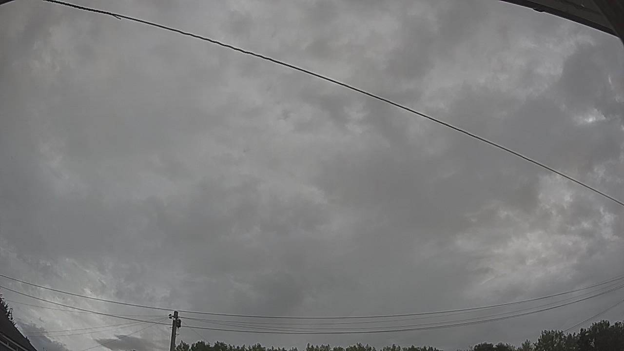 20260804_084138_cam2.jpg