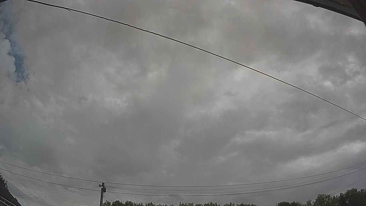 20260804_085015_cam2.jpg