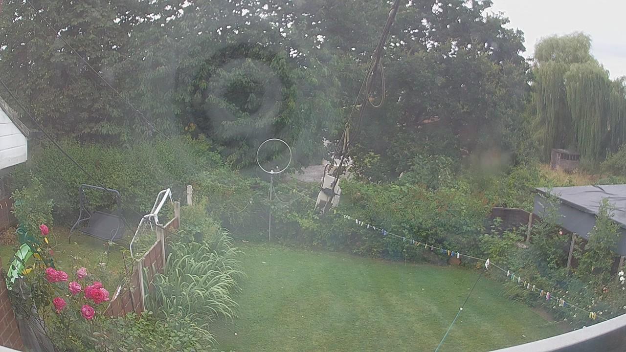 20260804_090308_cam1.jpg