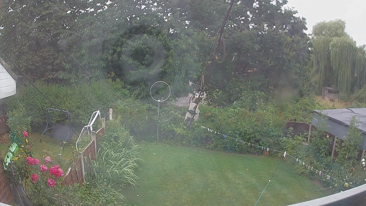20260804_091145_cam1.jpg