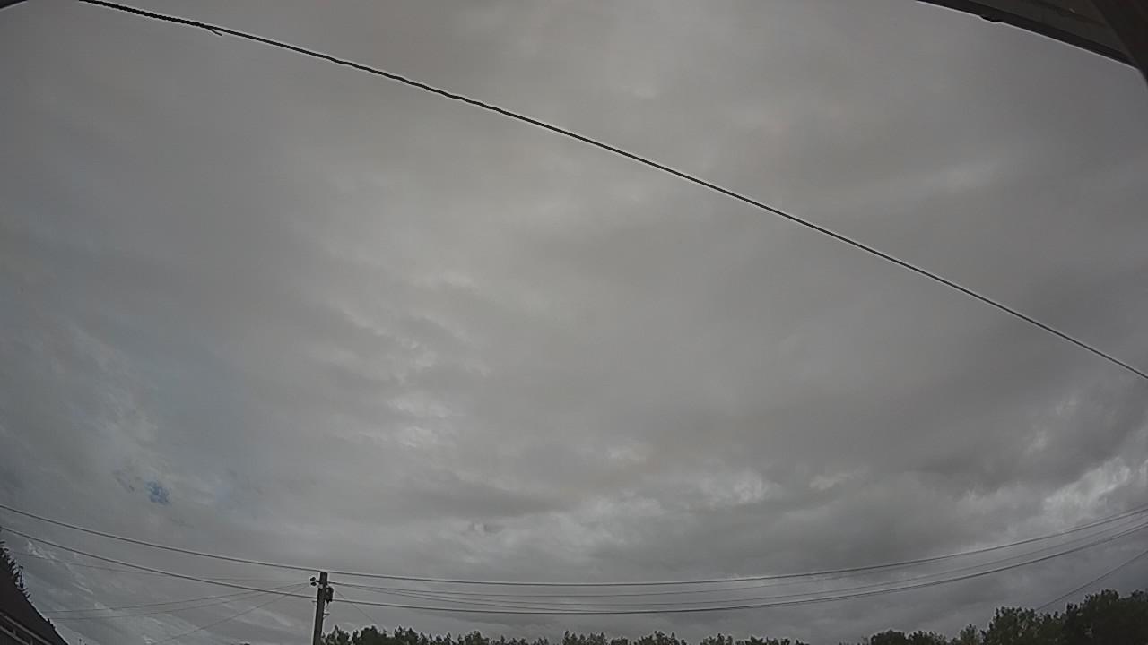 20260804_091146_cam2.jpg