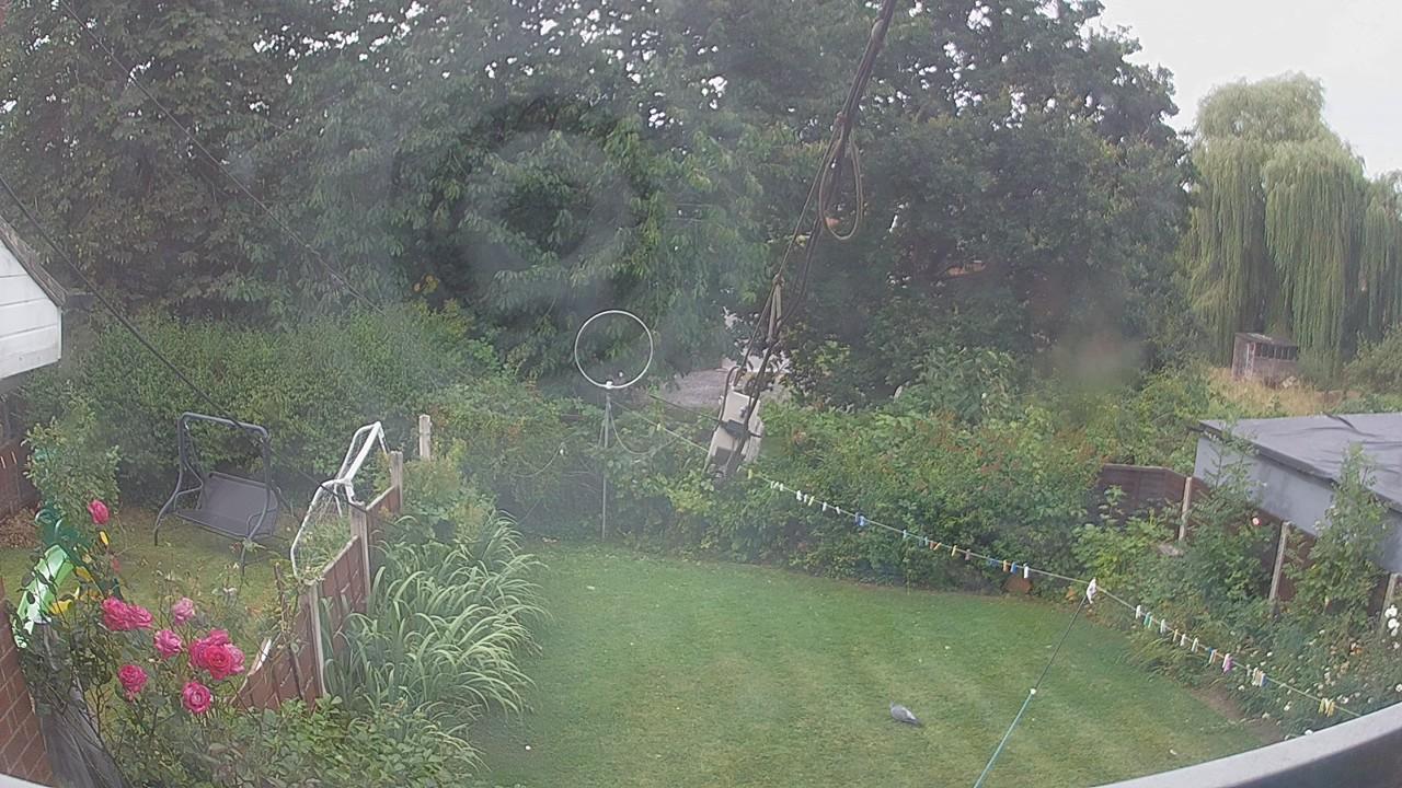 20260804_091603_cam1.jpg