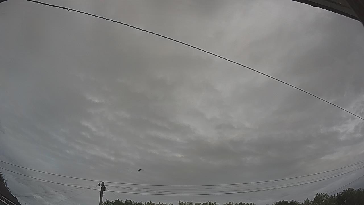 20260804_091604_cam2.jpg