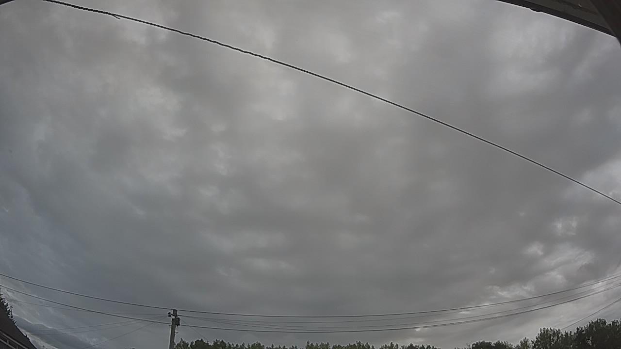 20260804_094152_cam2.jpg