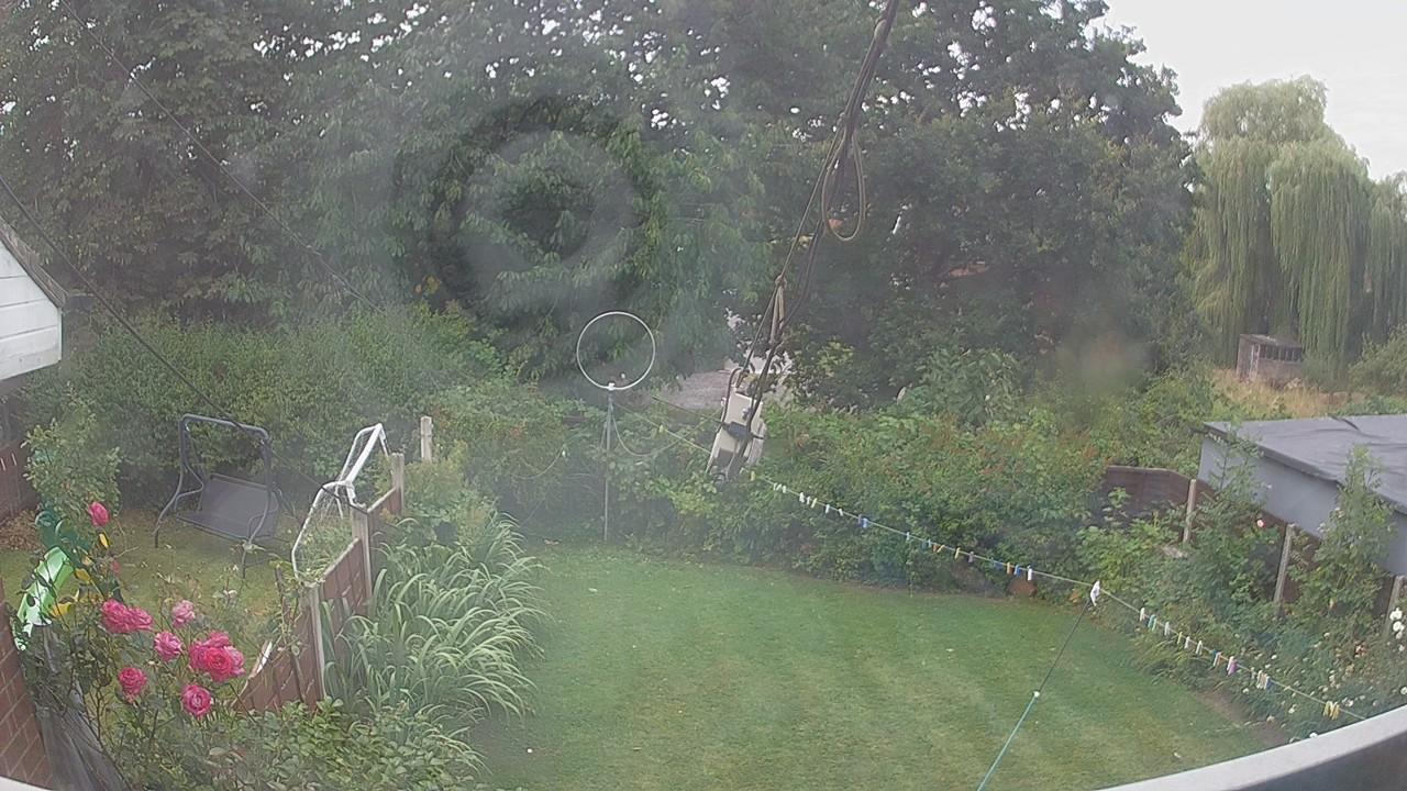 20260804_095027_cam1.jpg