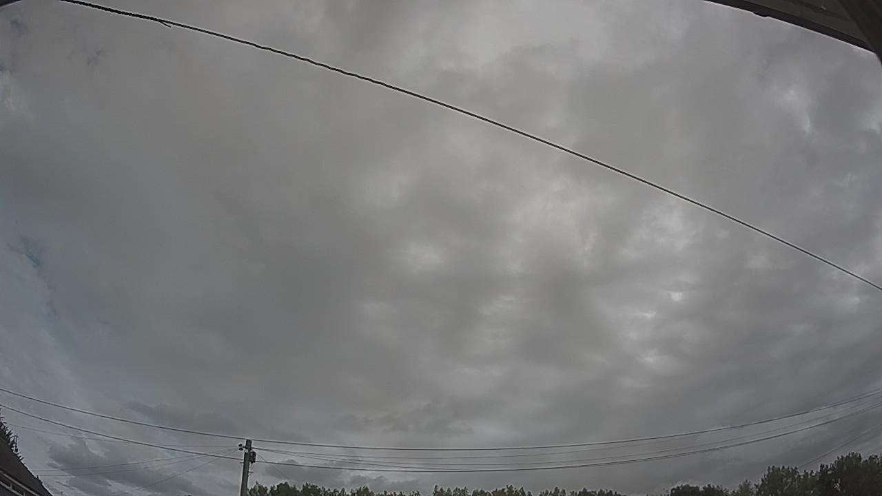 20260804_095028_cam2.jpg