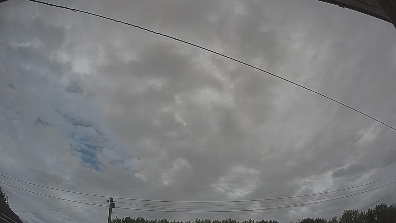 20260804_095445_cam2.jpg