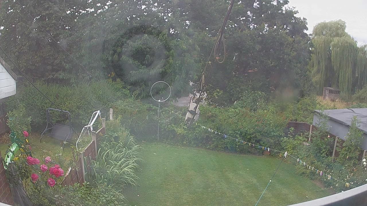 20260804_100338_cam1.jpg