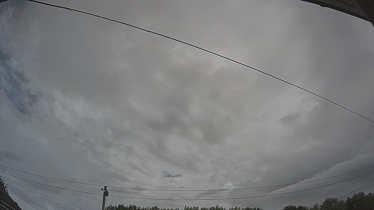 20260804_100339_cam2.jpg