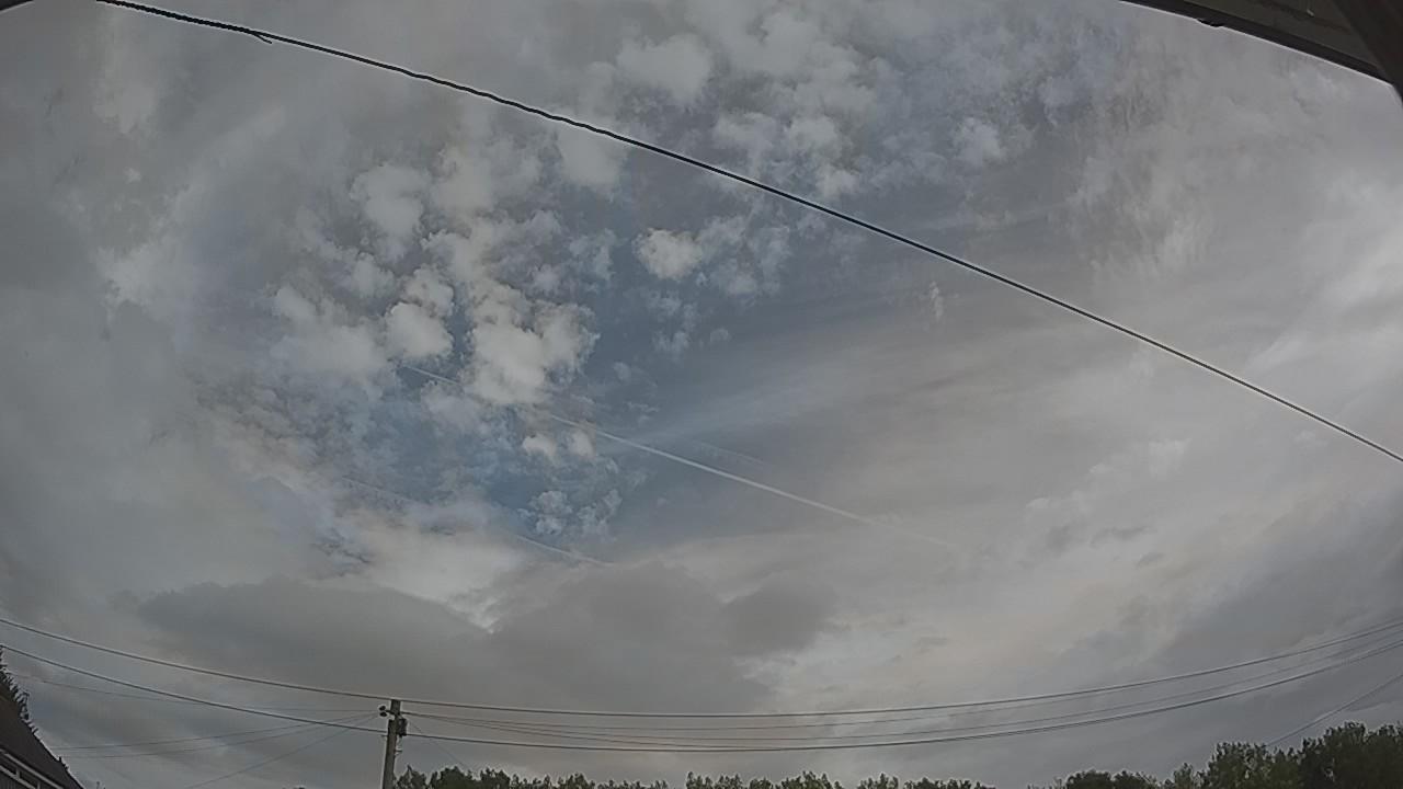 20260804_101232_cam2.jpg