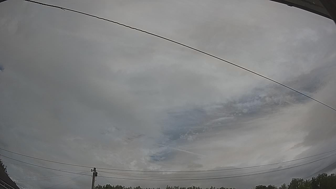 20260804_101659_cam2.jpg