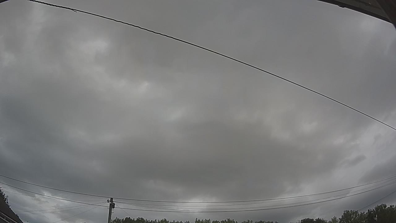 20260804_104953_cam2.jpg