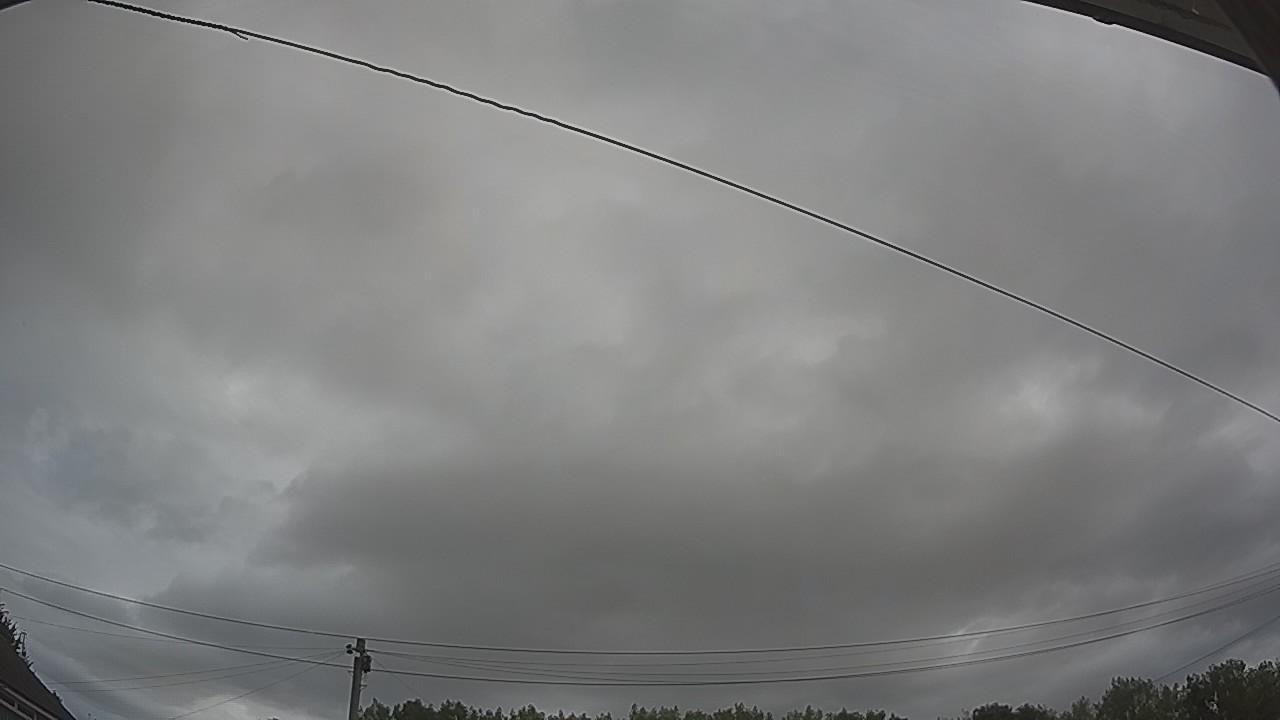 20260804_105354_cam2.jpg