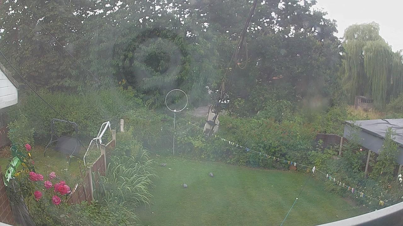 20260804_110203_cam1.jpg