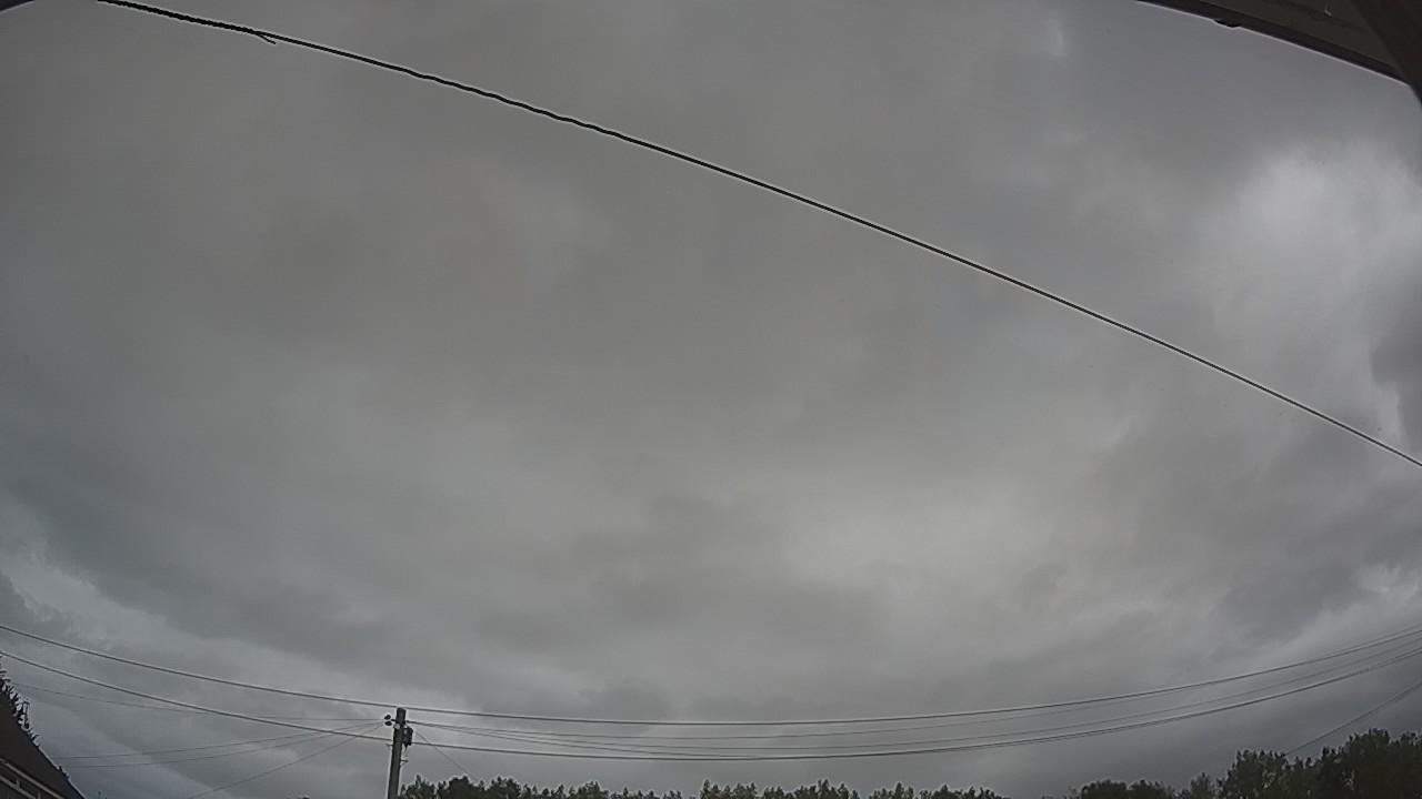 20260804_110204_cam2.jpg