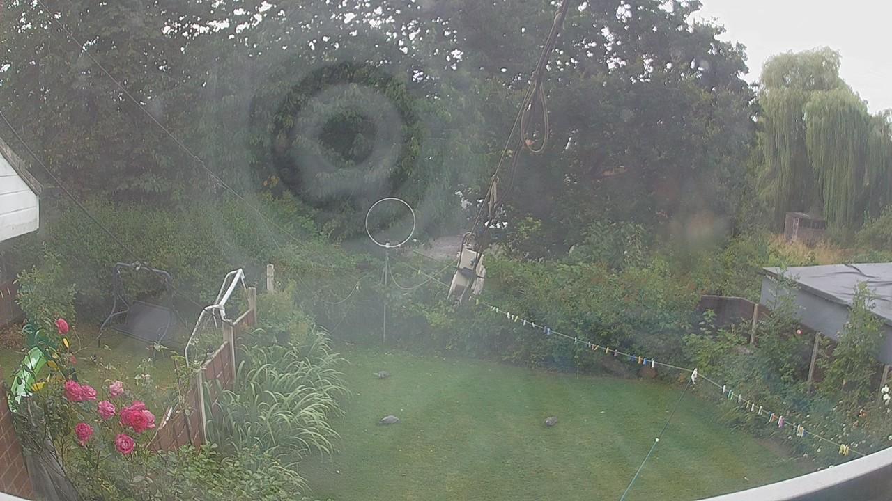 20260804_110612_cam1.jpg
