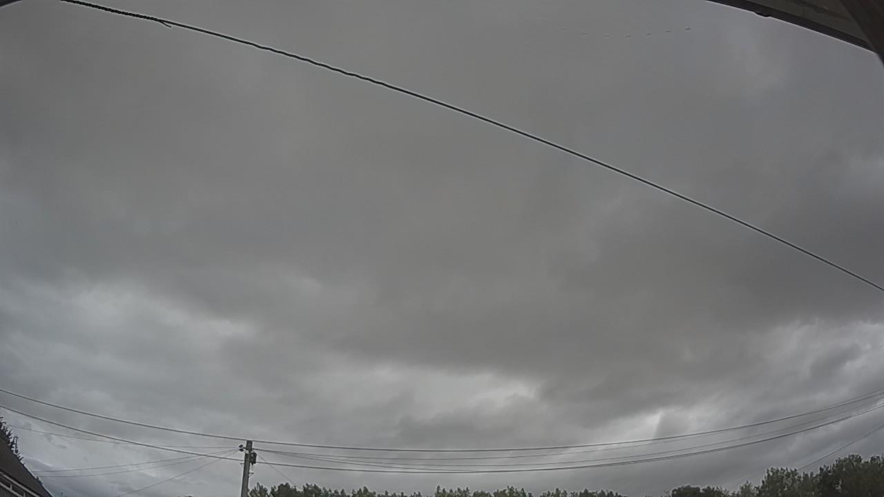 20260804_110613_cam2.jpg