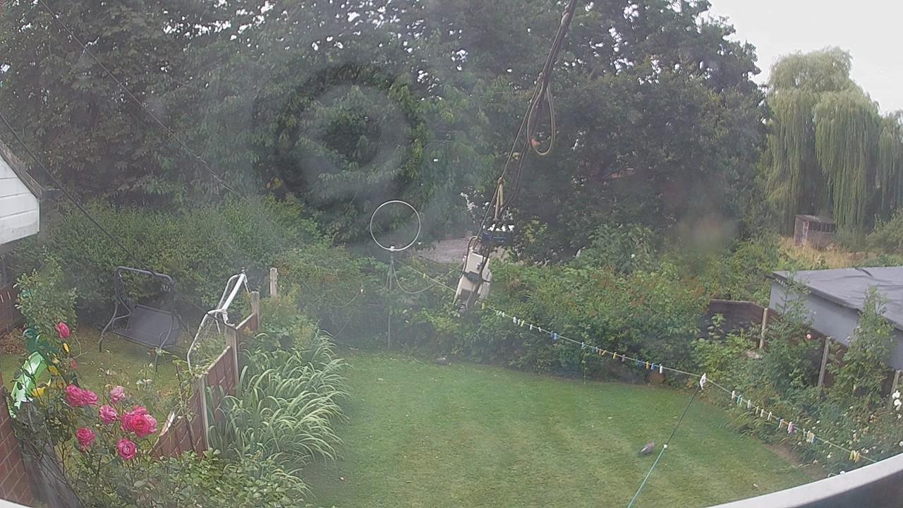 20260804_111021_cam1.jpg