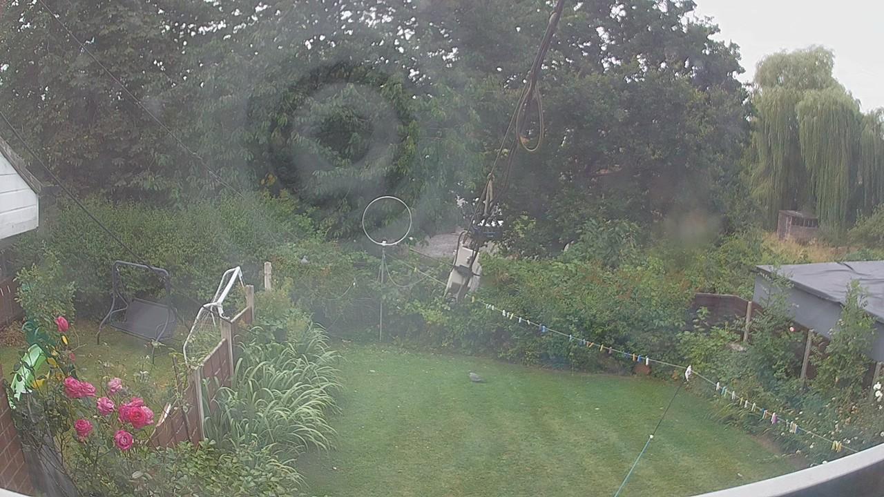 20260804_111430_cam1.jpg